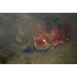 Preston ICS In-Line Dura Flat Method Feeder – Small 30g PRESTON - 1 2