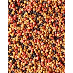 Pellet Feeder Bait Prestige Fishmeal 2mm 800g - Spice FEEDER BAIT - 1 2