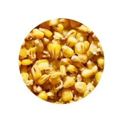 Gotowe Ziarno Genlog - Kukurydza Wanilia 1l GENLOG - 1 2