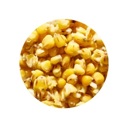 Gotowe Ziarno Genlog - Kukurydza Truskawka 1l GENLOG - 1 2