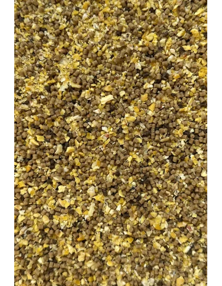 Zanęta Feeder Bait Club Series Method Mix 800g - Dynamic Corn Natural FEEDER BAIT - 2