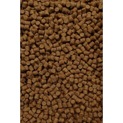 Feeder Bait Pellet 8mm - Orzech Tygrysi FEEDER BAIT - 1 2