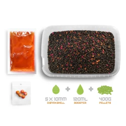 Pellet box Delphin Reaxe Ready&Go Mango-Brzoskwinia DELPHIN - 1 2