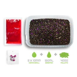 Pellet Box Delphin Reaxe Ready&Go Śliwka - Morwa 400g DELPHIN - 1 2