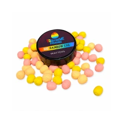 EGGSTREME EGG WAFTERS - BIG RAINBOW EGGSTREME - 1 2