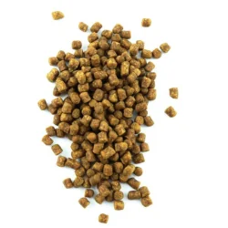 Pellet Skretting 11mm 1kg SKRETTING - 1