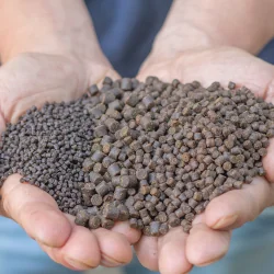 Skretting Optiline pellet 6mm 1kg SKRETTING - 1 2