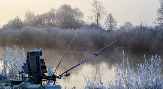 How do you properly nourish fish in winter?