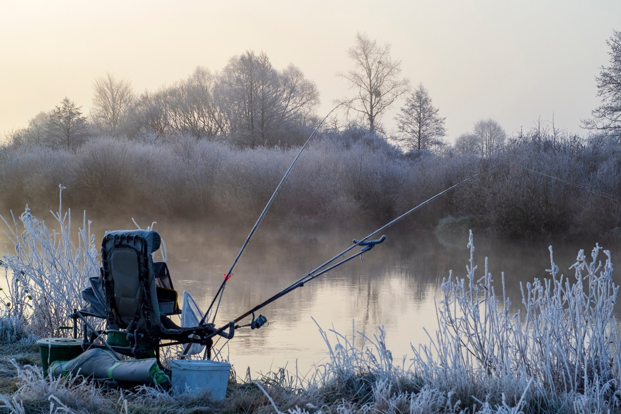 How do you properly nourish fish in winter?