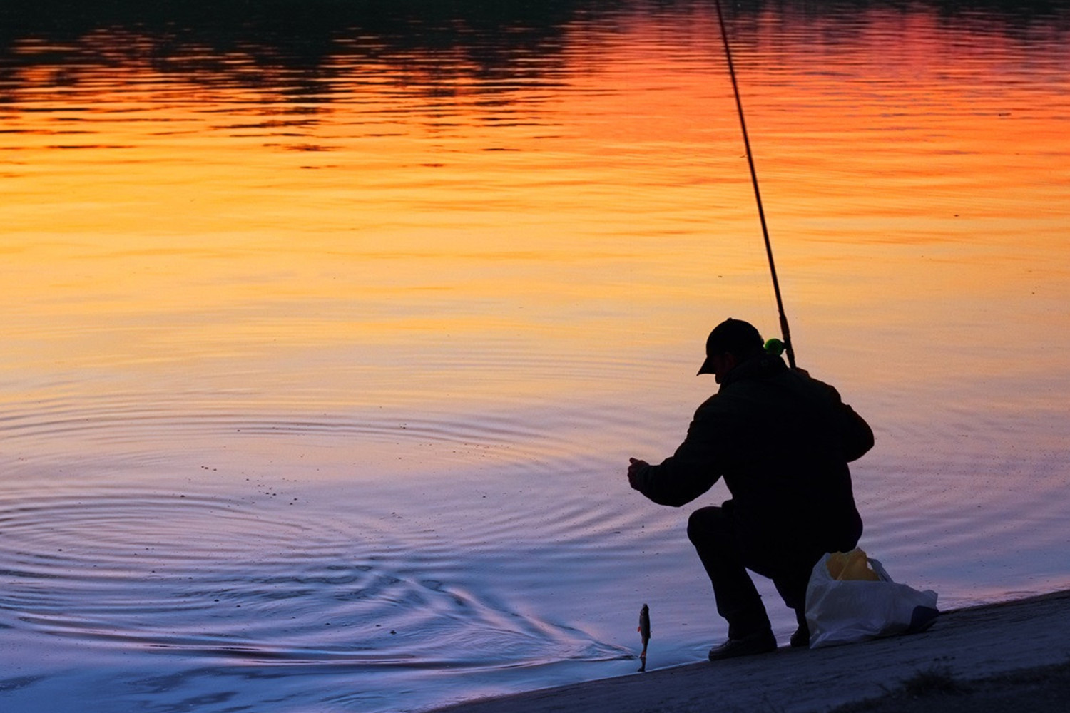 Feeder fishing in canals - a guide